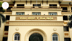 Các trường đại học ở Hà Nội được đánh giá cao nhất năm 2025